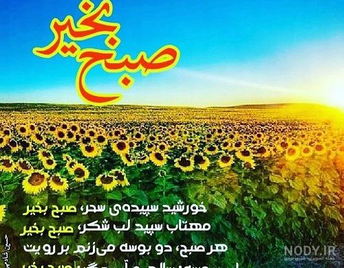 110 عکس صبح بخیر زیبا | عکس نوشته و متن صبح بخیر زیبا و با کلاس 110 عکس صبح بخیر زیبا | عکس نوشته و متن صبح بخیر زیبا و با کلاس