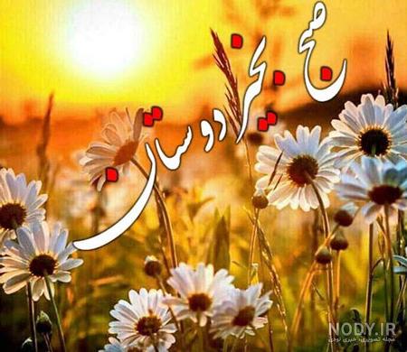 30 متن و پیام دلنشین و احساسی صبح بخیر زمستانی