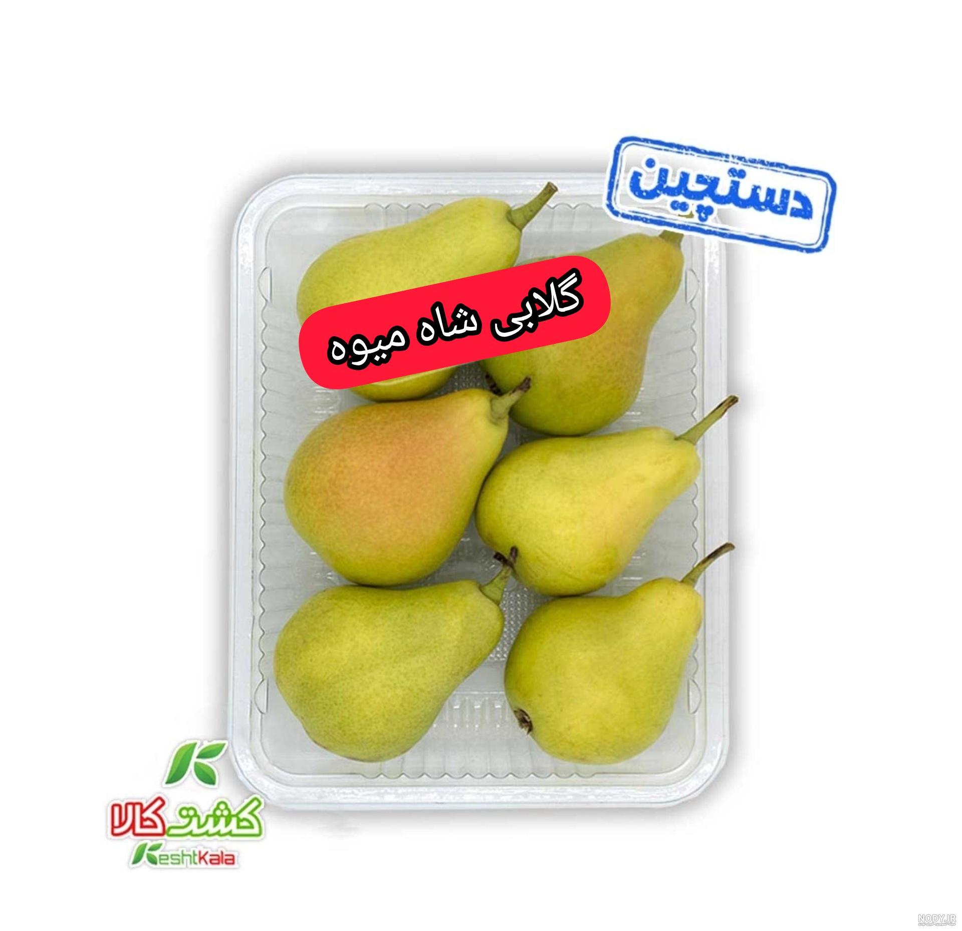 خرید نهال گلابی شاه میوه و قیمت - نهالستان بهمن آبادی