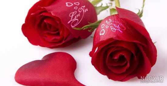 دانلود عکس گل شاد