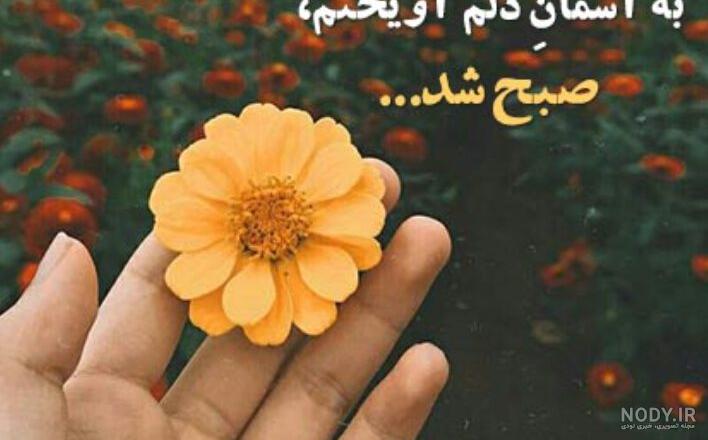 سلام صبح بخیر عاشقانه❤️+ متن صبح بخیر زیبا برای عشقم • مجله تصویر زندگی