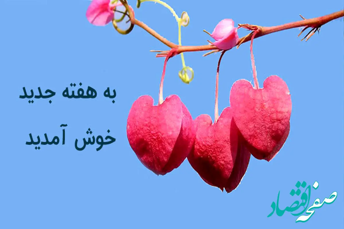 صبح بخیر، شنبه شروع هفته