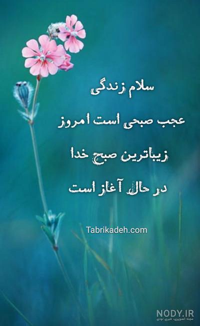 صبح یکشنبه صبح یکشنبه