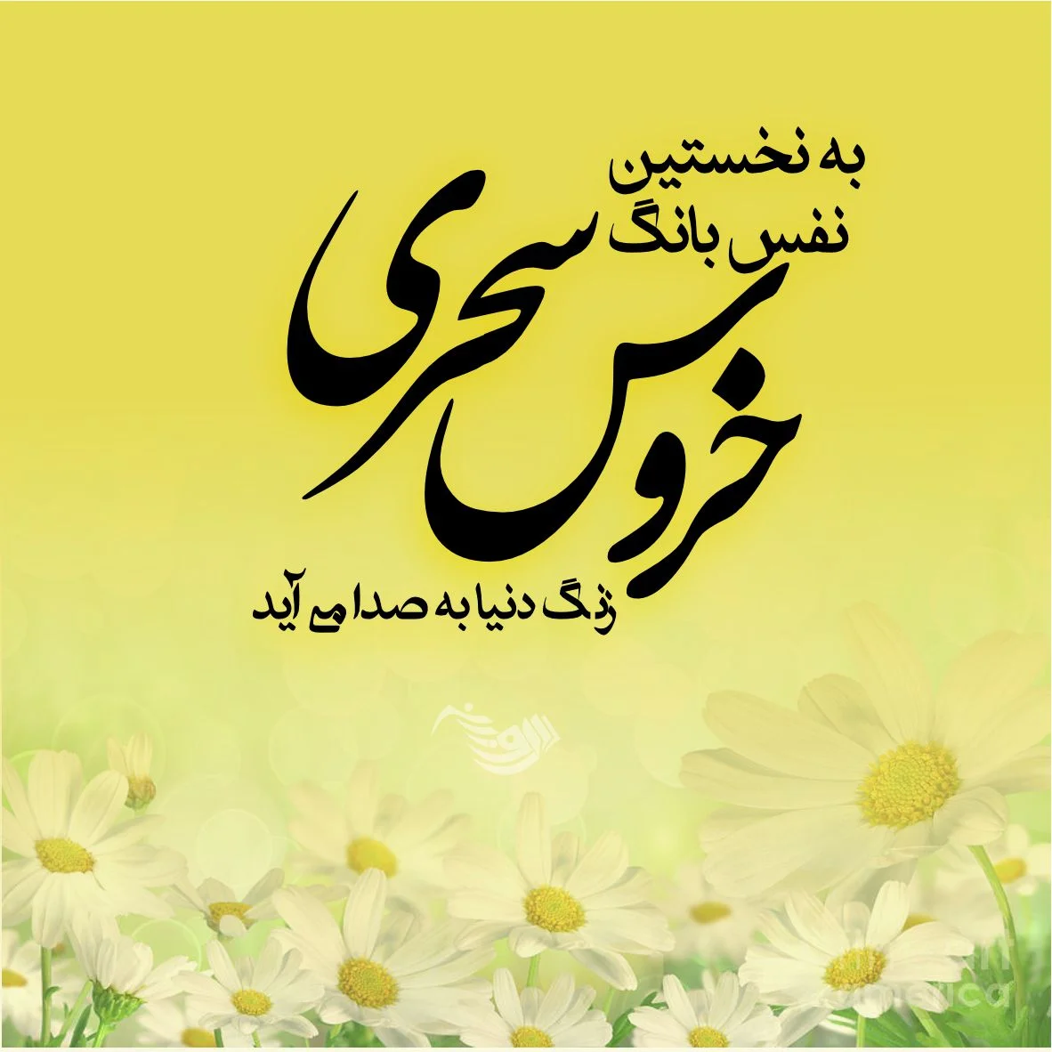 عکس سلام صبح بخیر دوستان
