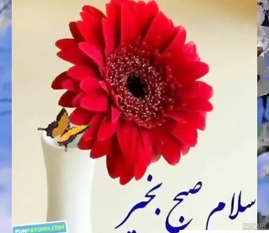 عکس سلام صبح شما هم بخیر عکس سلام صبح شما هم بخیر