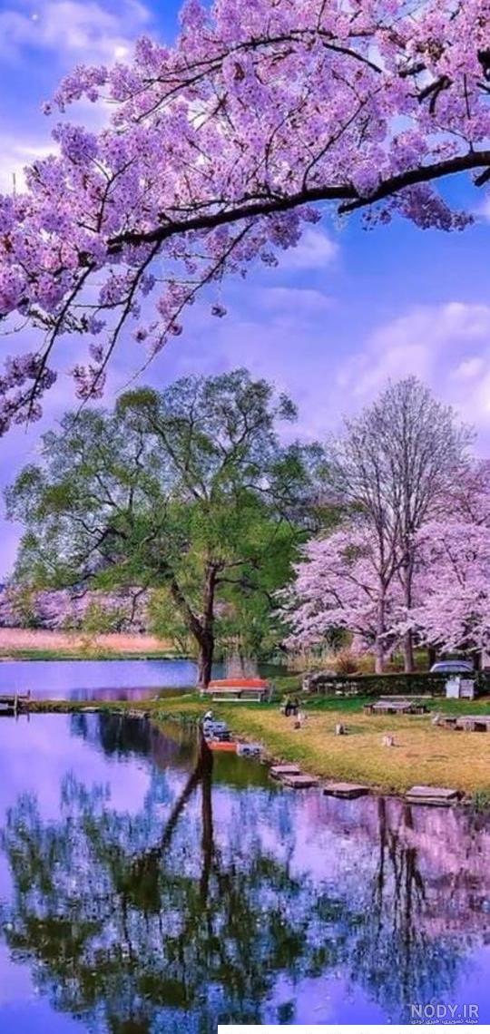 عکس شاد طبیعت برای پروفایل ❤️ [ بهترین تصاویر ]