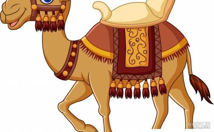 عکس شتر خنده دار و بامزه از نمای نزدیک عکس شتر خنده دار و بامزه از نمای نزدیک