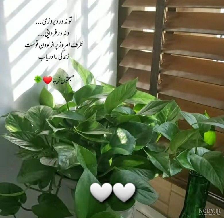 عکس صبح بخیر بدون متن ❤️ [ بهترین تصاویر ]
