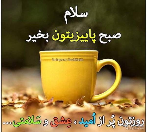 عکس های صبح بخیر عشقم - عکس نودی
