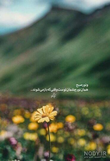 عکس صبح بخیرهای شیک بلاگری، دوستانه همراه با دعا