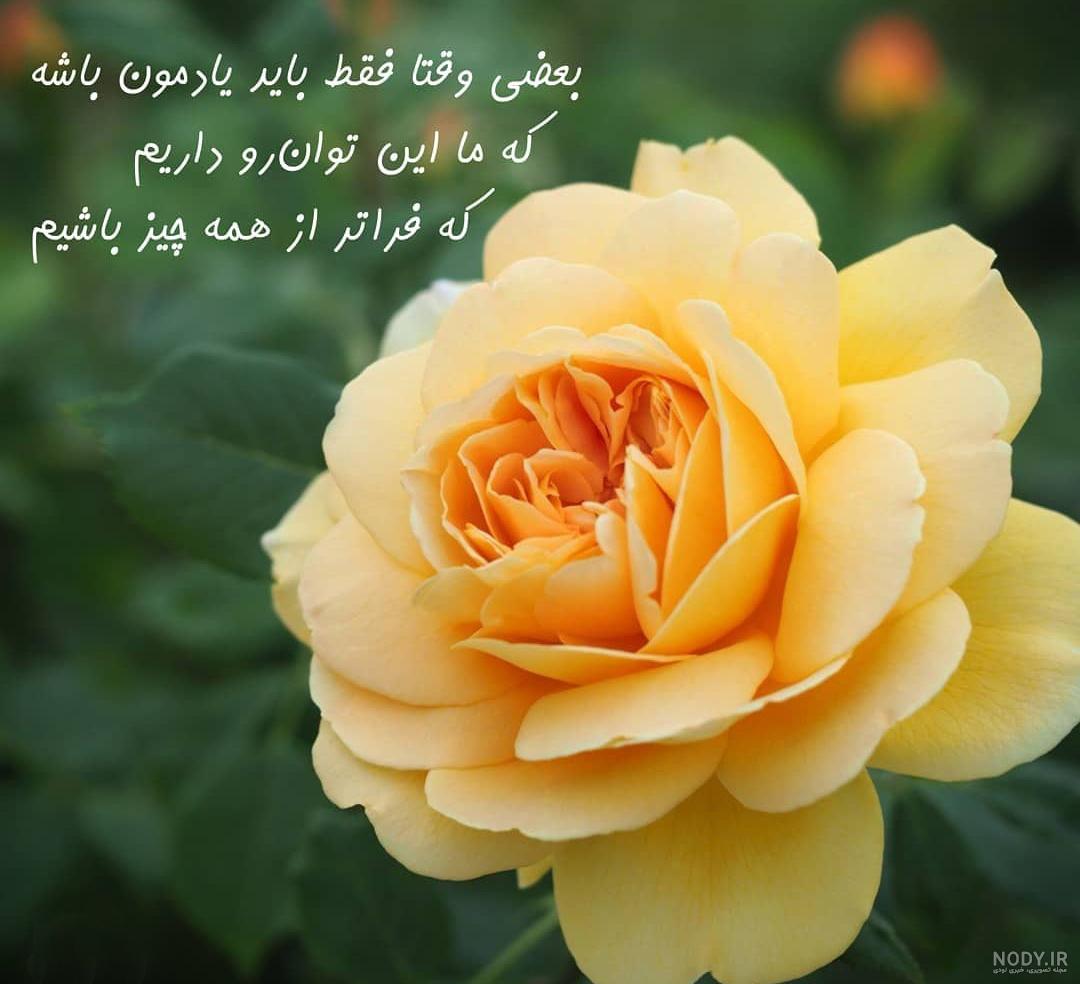 عکس متن دار شاد زندگی کردن