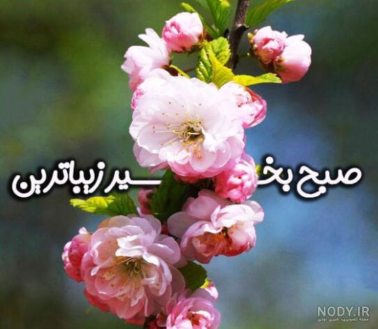 عکس نوشته ی سلام و صبح بخیر گفتن (آلبوم تصاویر) - تــــــــوپ تـــــــــاپ