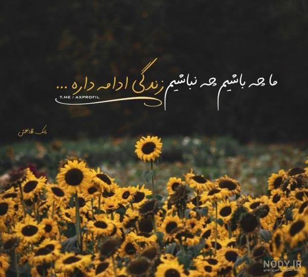 عکس پروفایل شاد و پر انرژی دخترانه بدون متن