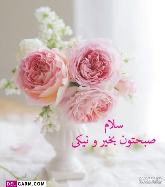 عکسهای سلام صبح بخیر زیبا ❤️ [ بهترین تصاویر ]