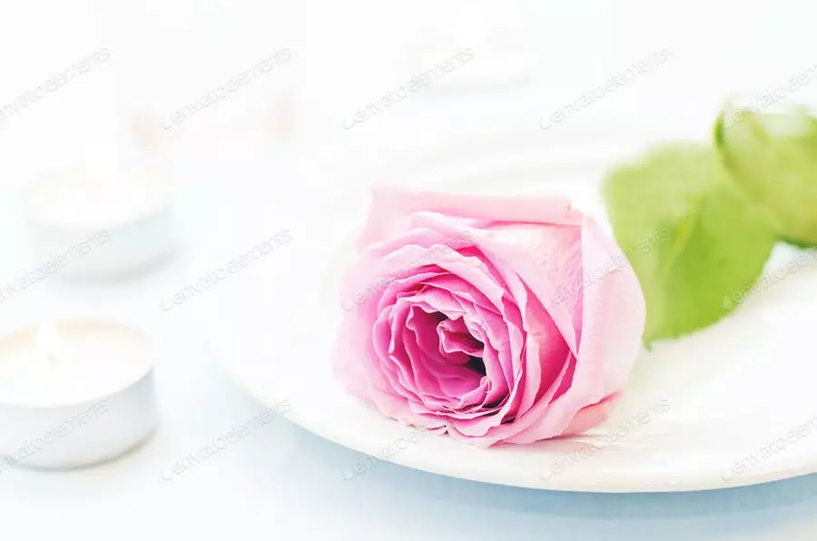 غمگین عکس گل رز مشکی با شمع