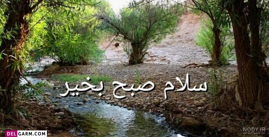 فرارو | صبح به خیر گفتن خاص؛ اس ام اس، شعر‌ و متن‌های ادبی زیبا