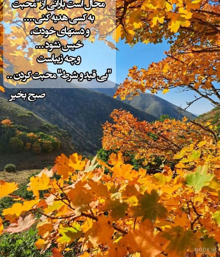 متن زیبا درباره صبح بخیر پاییزی 1401 + عکس نوشته و استوری