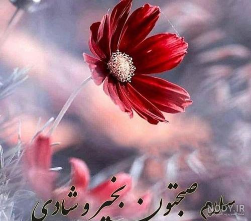 متن صبح بخیر رسمی و اداری + عکس نوشته های استوری صبح بخیر اینستاگرام
