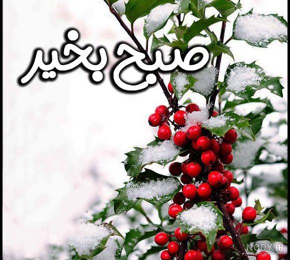 متن و پیام صبح بخیر زمستانی عاشقانه، انگیزشی، شاد، دوستانه و رسمی