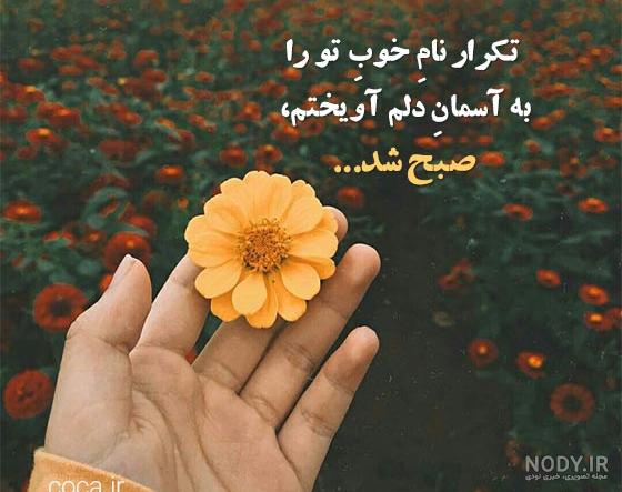 پیام های دلنشین صبح بخیر گفتن + زیباترین عکس نوشته صبح بخیر جذاب و با کلاس  - تبریکده