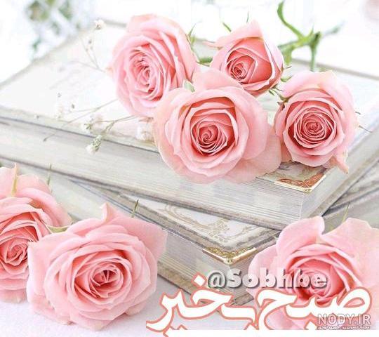 کلیپ زیبای صبح بخیر با آهنگ شاد
