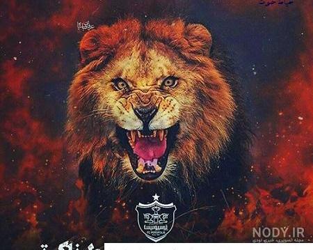 عکس خفن عکس پس زمینه پرسپولیس شیر