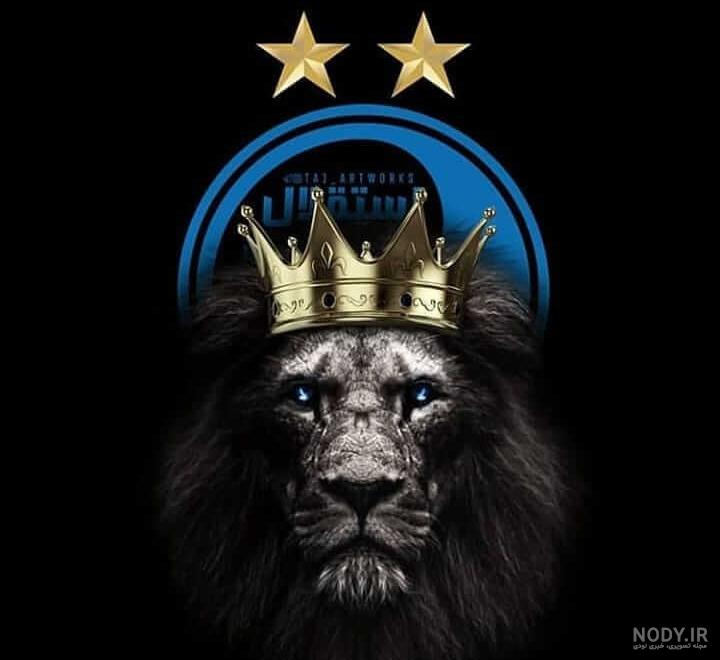 عکس خفن عکس پس زمینه پرسپولیس شیر