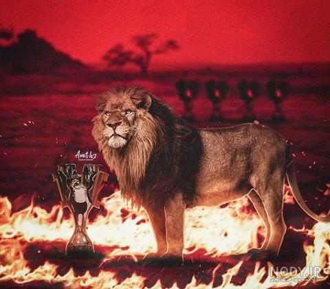 عکس پرسپولیس شیر استقلال کفتار