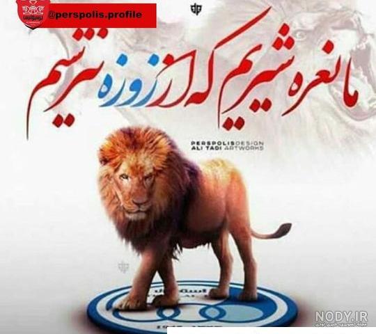 عکس پرسپولیس شیر استقلال کفتار