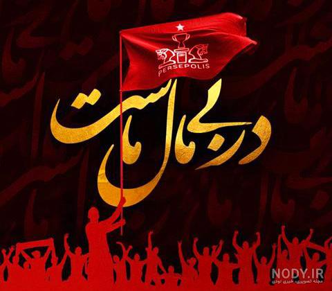 عکس خفن عکس پس زمینه پرسپولیس شیر