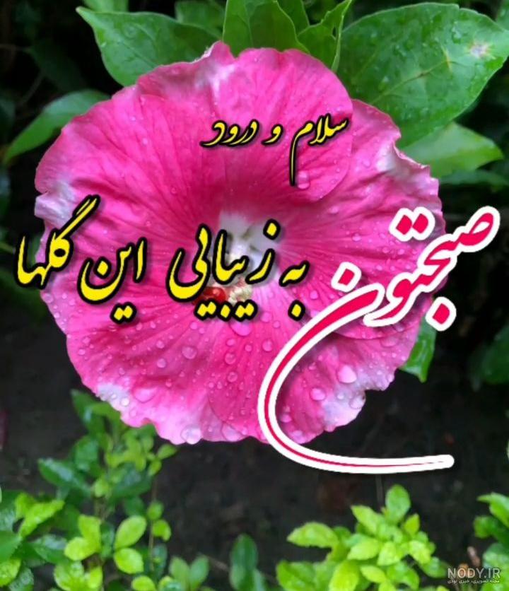 110 عکس صبح بخیر عاشقانه همراه متن صبح بخیر عاشقانه (متنوع و جدید)