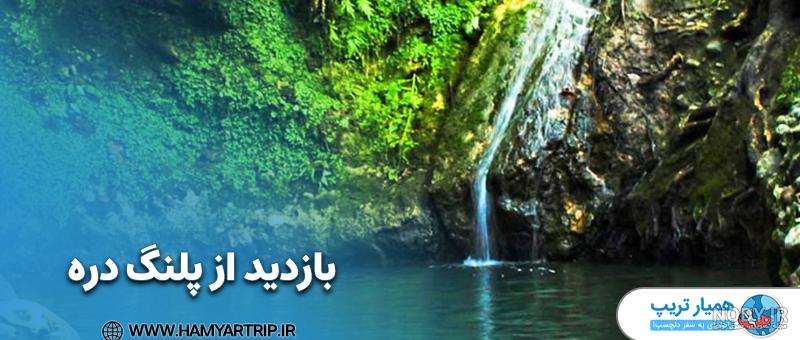 جنگل پلنگ دره ؛ جامع ترین راهنمای سفر (ویدیو، عکس و نقشه) - مجله گردشگری