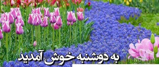 زیبا-ترین-عکس-نوشته-صبح دوشنبه-تون-بخیر