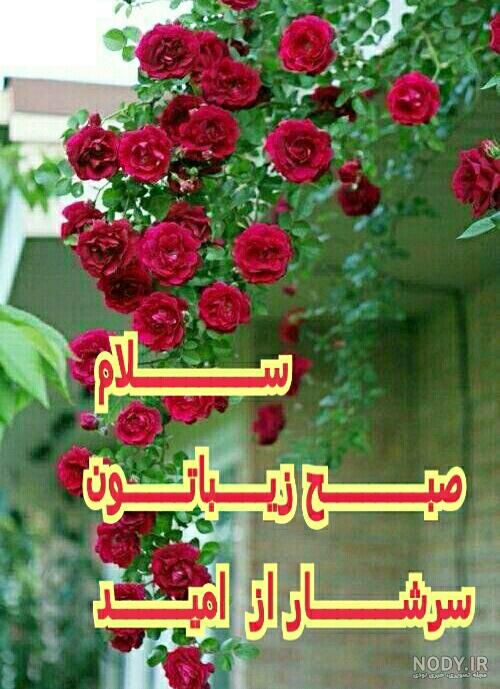 زیباترین عکس صبح بخیر متحرک زیباترین عکس صبح بخیر متحرک
