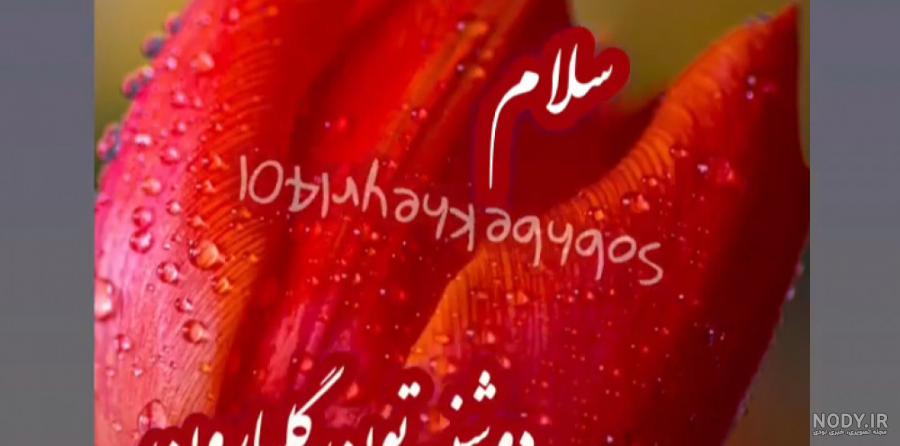 صبحت بخیر - کارت پستال دیجیتال