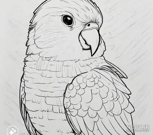 طرح نقاشی آماده حیوان شیر برای رنگ آمیزی کودکان و بچه ها طرح نقاشی آماده حیوان شیر برای رنگ آمیزی کودکان و بچه ها