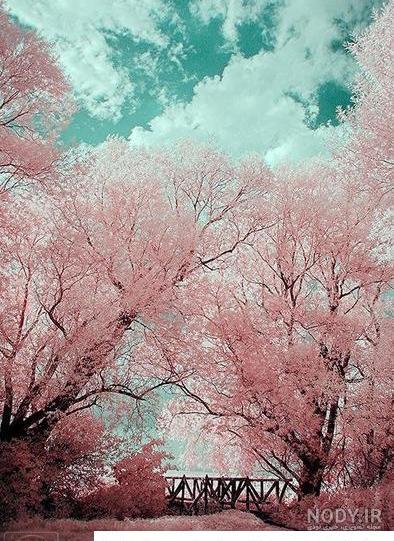 عکس برای روی صفحه ی گوشی عکس برای روی صفحه ی گوشی