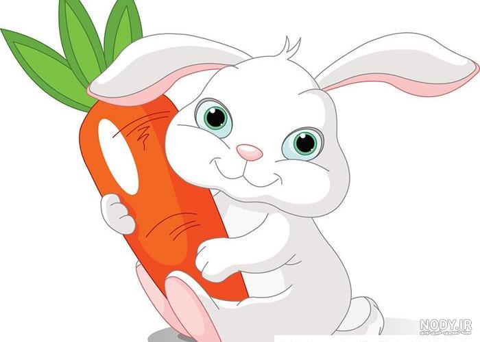 عکس برای صفحه گوشی خرگوش