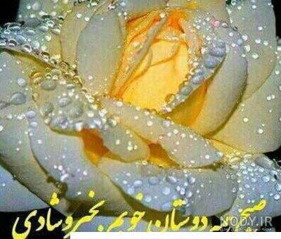 عکس سلام صبح بخیر متحرک