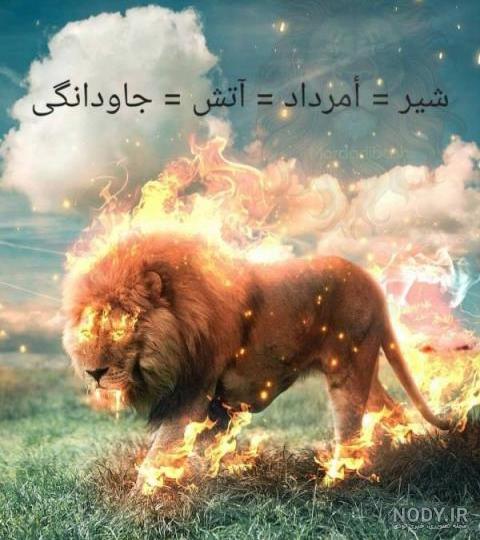 عکس شیر پروفایل