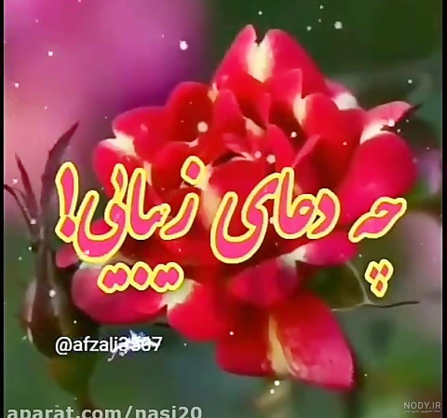 عکس نوشته سلام صبح بخیر متحرک ❤️ [ بهترین تصاویر ]