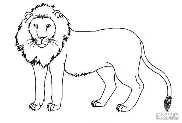 عکس کارتونی شیر حیوان
