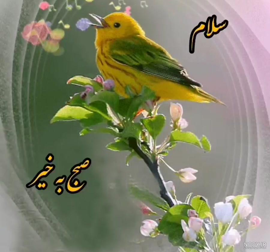 عکسهای متحرک صبح بخیر