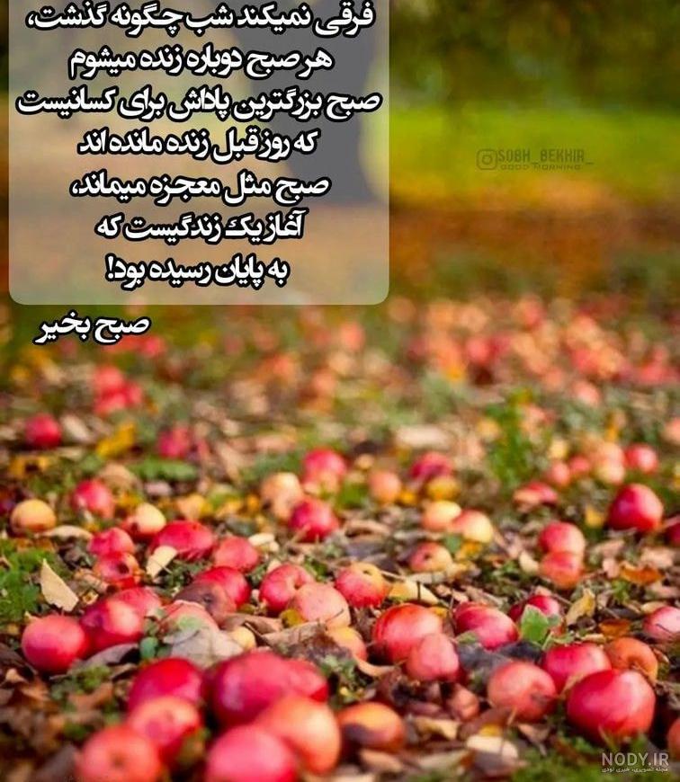 متن صبح بخیر پر انرژی عاشقانه، کوتاه، خاص و دلنشین + عکس نوشته