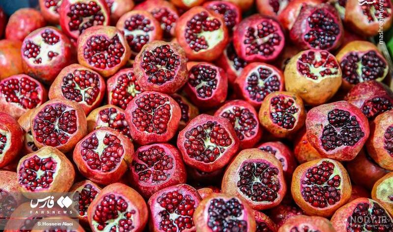 هنرمندان در شب یلدا + عکس و فیلم - تسنیم