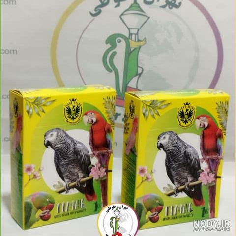 100 عکس خیره کننده از طوطی های رنگارنگ و بازیگوش 100 عکس خیره کننده از طوطی های رنگارنگ و بازیگوش