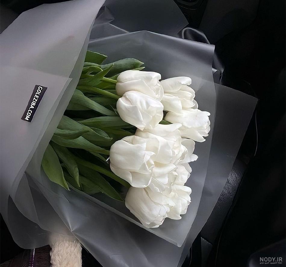 50 عکس گل و پروفایل گل زیبا برای واتساپ و تلگرام - Tjoor 50 عکس گل و پروفایل گل زیبا برای واتساپ و تلگرام - Tjoor