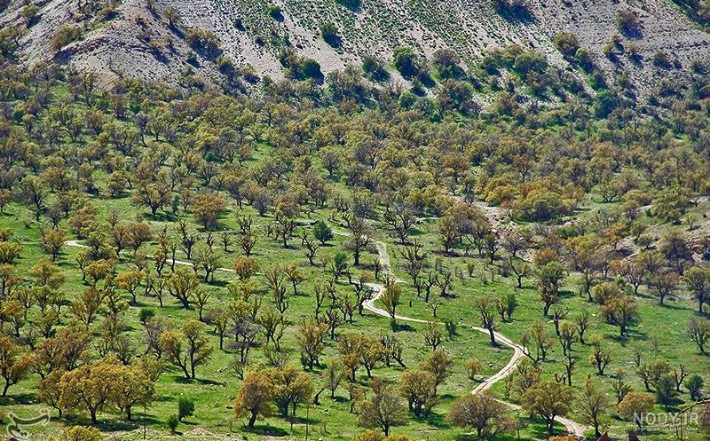 آدرس و تصاویر تنگه رازیانه و تنگه کافرین استان ایلام [نکته‌های مهم طبیعت  گردی]