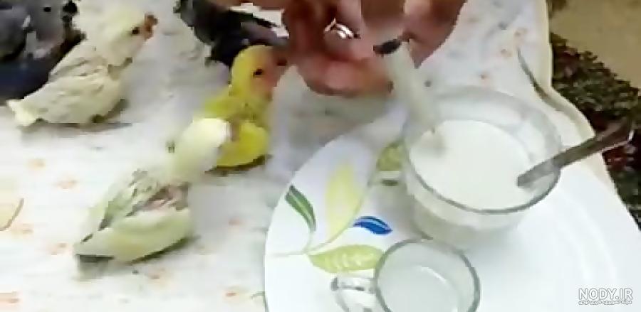 آموزش سرلاک دادن به عروس هلندی آموزش سرلاک دادن به عروس هلندی