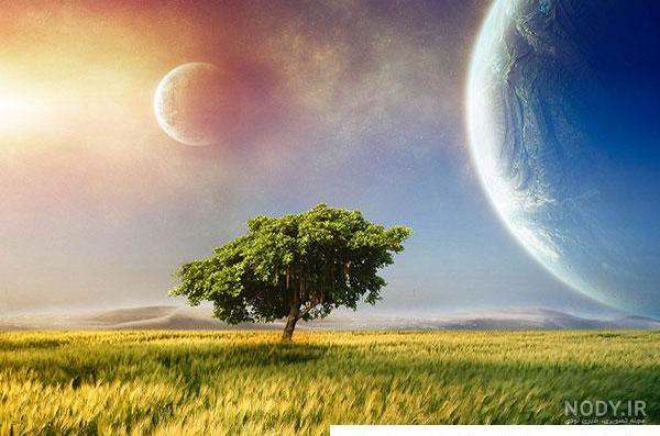 بیش از 30 عکس بهار با کیفیت بالا و ادیت حرفه‌ای | لست‌سکند